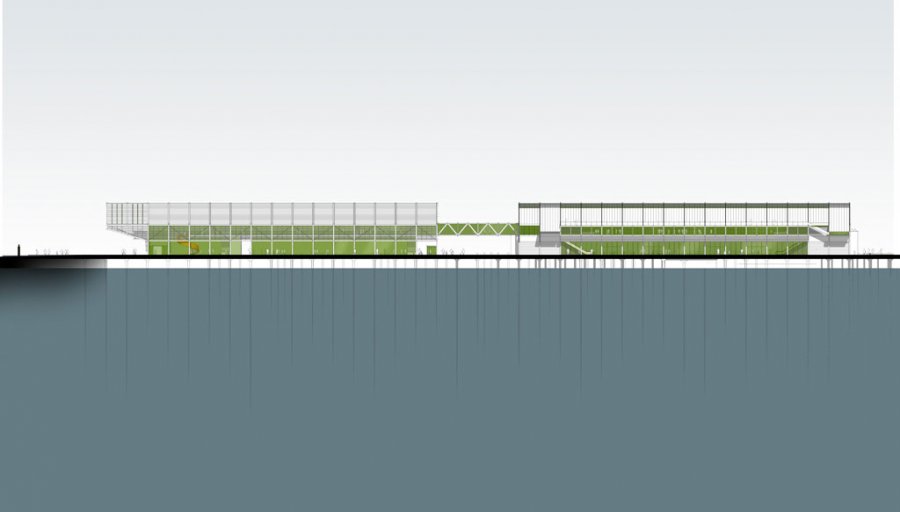 Queens Wharf Competition_Elevation